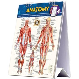 Anatomy Easel - 1