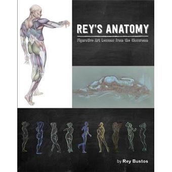 Rey'S Anatomy Figurative Art Lessons From The Classroom - 1