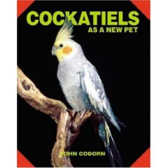 Cockatiels as a New Pet - 1