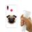Capa Hapdey para Huawei Y7 2019 - Y7 Prime 2019 Design Retrato de Pug em Silicone Flexível e TPU_3