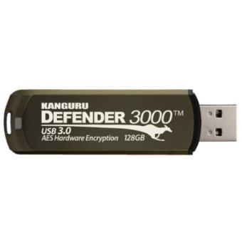 Kanguru Defender 3000, 4GB