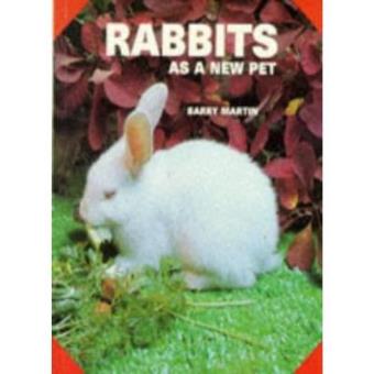 Rabbits as a New Pet - 1
