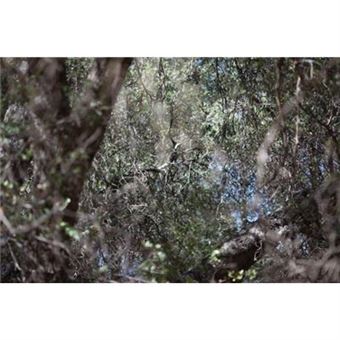 A Crack In The World - 1