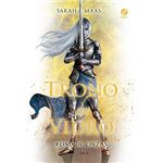 Sarah J. Mass La Lama dell'Assassina - Libri e Riviste In vendita a Udine