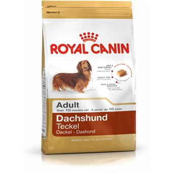 Comida seca para cão Royal Canin Dachshund Adult Adulto 1,5 kg - 1
