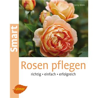 Smart - Rosen pflegen | Henry Klein - 1
