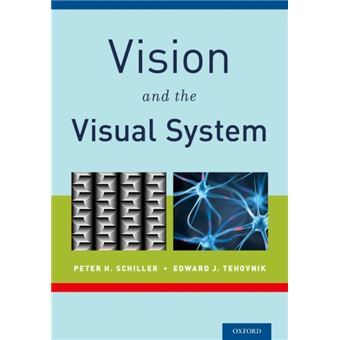 Vision And The Visual System - 1