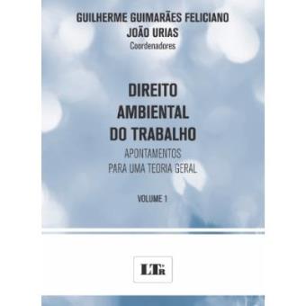 Direito Ambiental Do Trabalho. Apontamentos Para Uma Teoria Geral - Volume 1 - 1