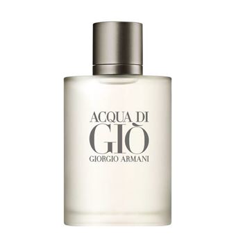 Perfume Giorgio Armani Acqua Di Giò Pour Homme | EDT | 100 ml - 1