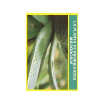 Aloe vera - 1