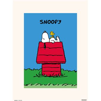 Print Grupo Erik Snoopy - Doghouse | 30x40 cm - 1