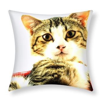 Conjunto de 2 Capas de Almofada Avizar | 40x40 cm | Desenho de gato Cesto cor-de-rosa - 1