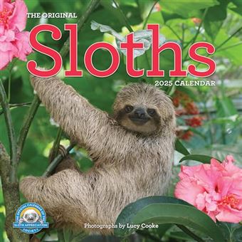 Original Sloths Wall Calendar 2025: The Ultimate Experts at Slowing Down - 1