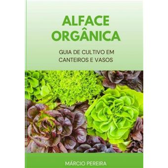 Alface Orgânica - 1
