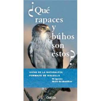 ¿Què Rapaces Y Búhos Son Estos? - 1