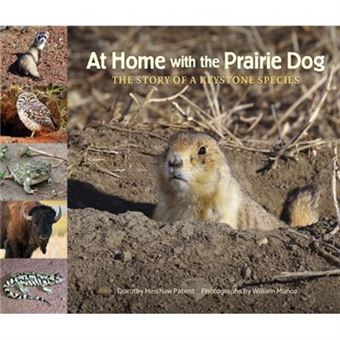 At Home With The Prairie Dog By Dorothy Hinshaw Patent Dorothy Hinshaw 