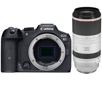 Canon EOS R7 + RF 100-500mm F4.5-7.1 L IS USM + PDF 15 Técnicas para Melhorar as suas Fotografias - 1
