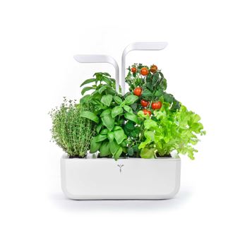 Horta Urbana Véritable - Classic Edition - 1