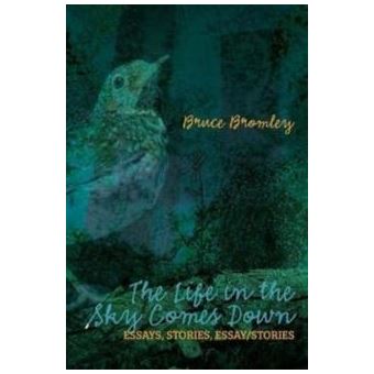 The Life In The Sky Comes Down - 1