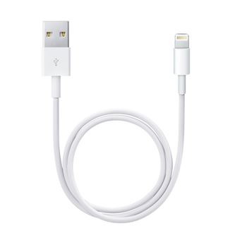 Apple Carregador Usb-c 20W + Cabo Alimentação Original Lightning Power  Delivery - 3662427560375