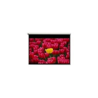 Optoma Pantalla 16:9 2656 x 1494mm