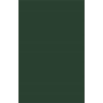 Immigrant Women'S Lives Weaving Garment Work And Legislative Policy - 1