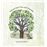 olivia Oak Tree And Friends Hardcover_0