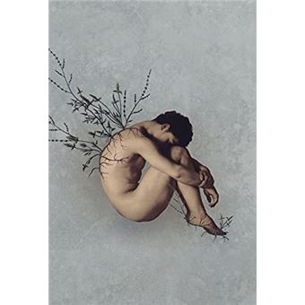 Céu Noturno Crivado De Balas - 1