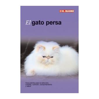 Gato persa - 1