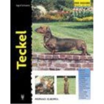 Teckel (excellence) - 1