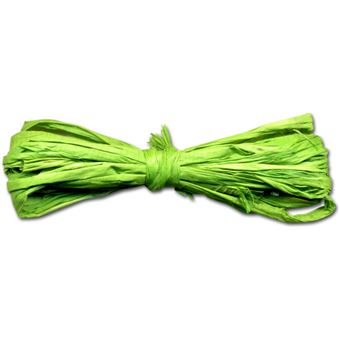 Rafia em Meada Meyco 40G 22302 Verde Alface - 1