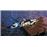 LEGO Batman Movie DC Comics The Penguin Arctic Roller 305peça(s)_2