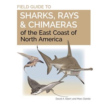 Field Guide To Sharks Rays And Chimaeras Of The East Coast Of North America - 1