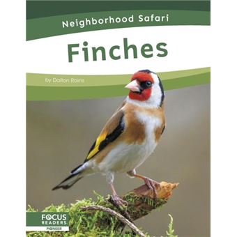 Finches - 1