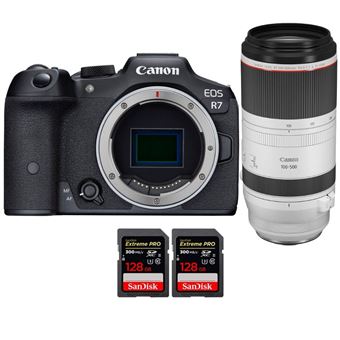 Canon EOS R7 + RF 100-500mm F4.5-7.1 L IS USM + 2 SanDisk 128GB Extreme PRO UHS-II SDXC 300 MB/s + PDF 15 Técnicas para Melhorar as suas Fotografias - 1