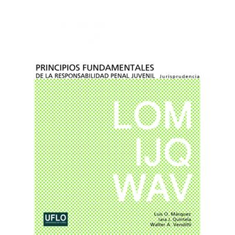 principios Fundamentales De La Responsabilidad Penal Juvenil Paperback - - 1