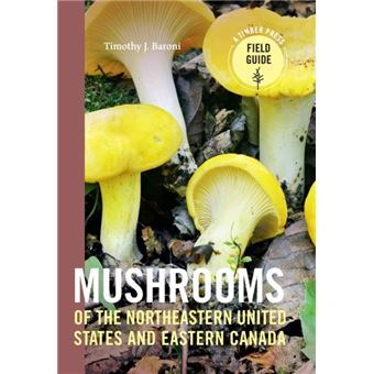 Mushrooms Of The Northeast - 1