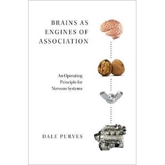 Brains As Engines Of Association An Operating Principle For Nervous Systems - 1