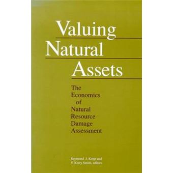 Valuing Natural Assets - The Economics of Natural Resource Damage Assessment - Paperback - 1993 - 1