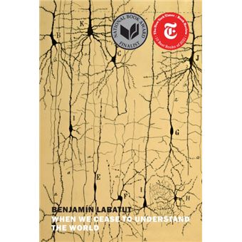 When We Cease To Understand The World - 1