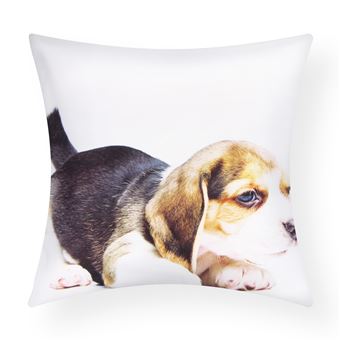 Conjunto de 2 Capas de Almofada Avizar | 40x40 cm | Desenho do cão Beagle - 1