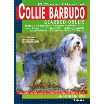 Collie Barbudo. - 1