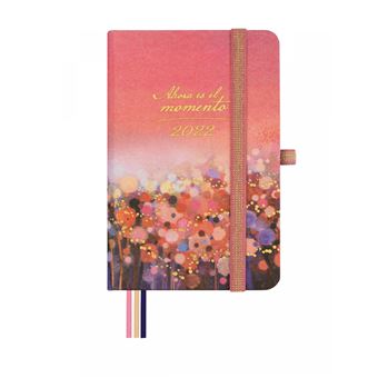 Agenda de compromissos Finocam Momento - 1