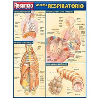 Sistema Respiratório - 1