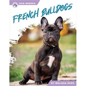 French Bulldogs - 1