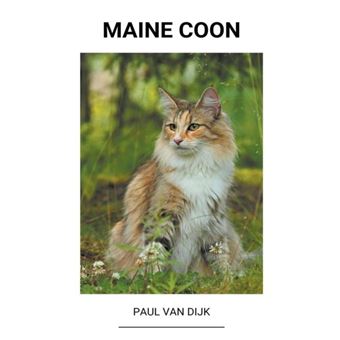 Maine Coon - 1