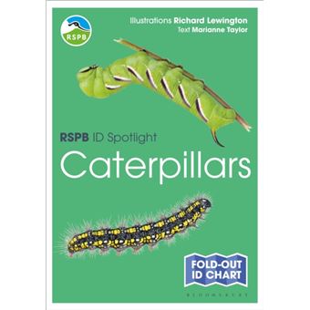 Rspb Id Spotlight  Caterpillars - 1