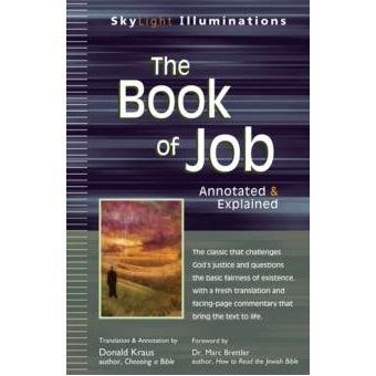 The Book Of Job By Jewish Lights Publishing - 1