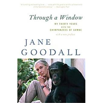 Through a Window - 1