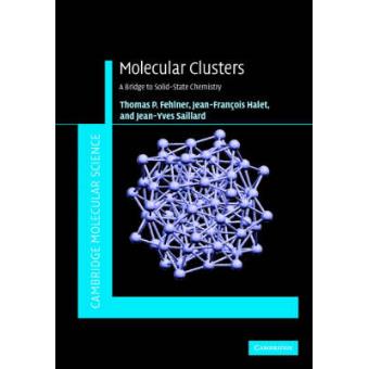 Molecular Clusters - A Bridge to Solid State Chemistry - Hardback - 2007 - 1